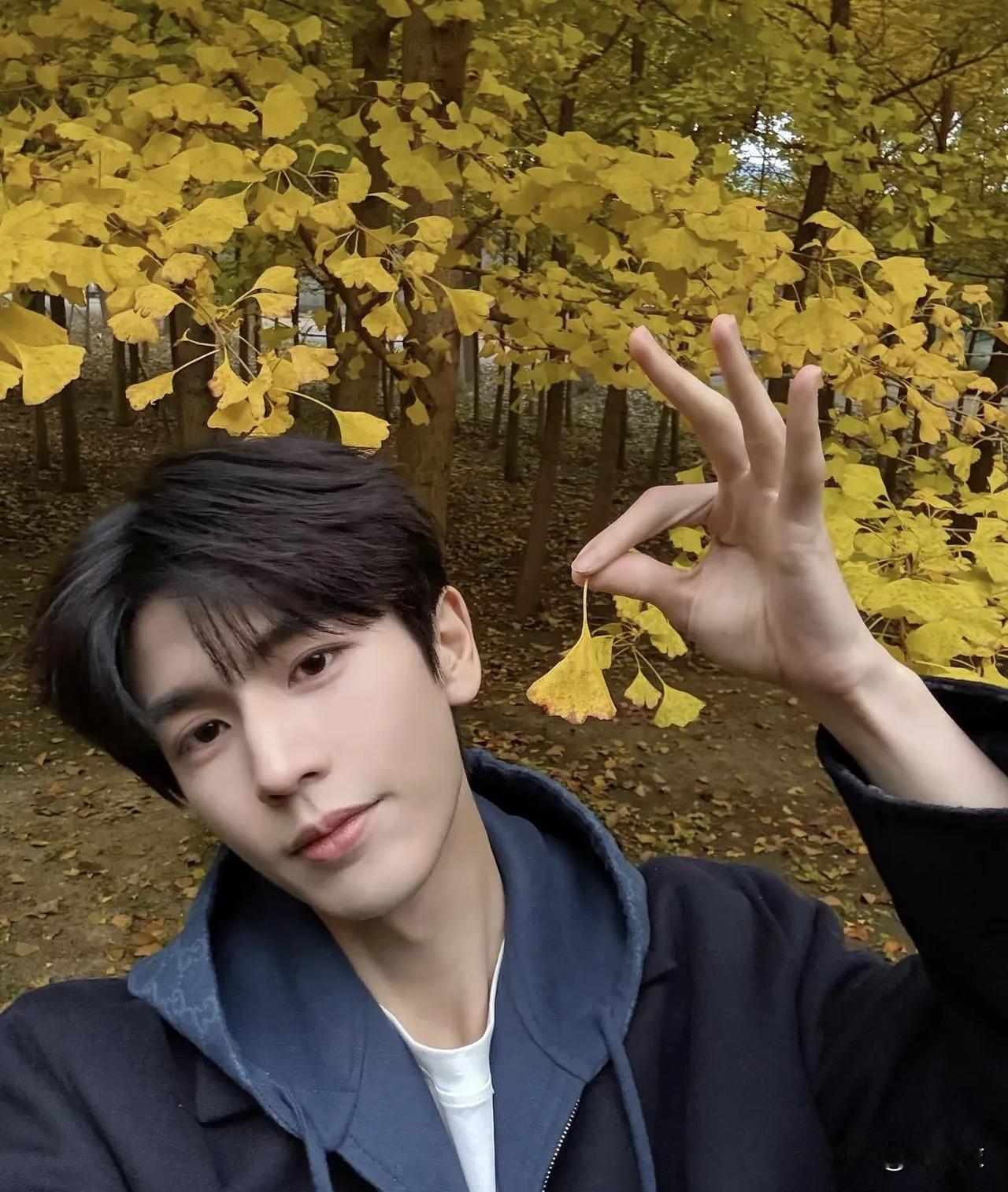 张凌赫在接受采访的时候不止一次说想体验不同人生，想当律师背法条啥的，想演一个能让