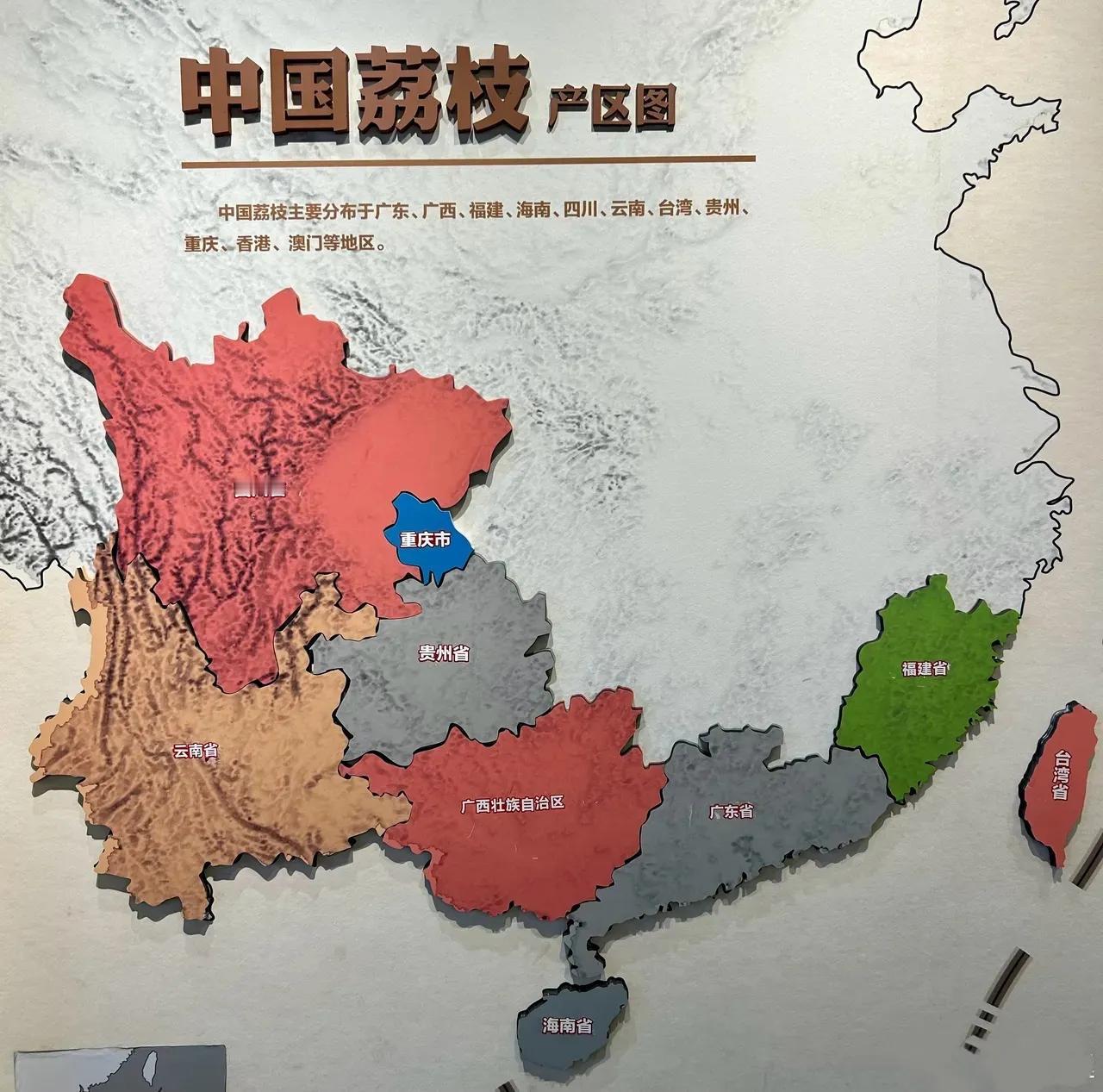 我一直以为只有广东、广西及福建省生产荔枝，没想到西南4省市也生产荔枝，连贵州省都