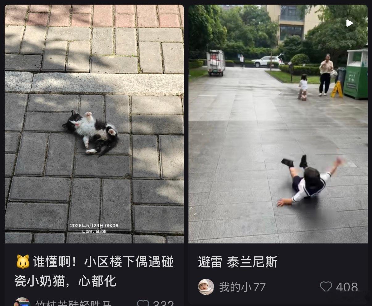 我截到神图了