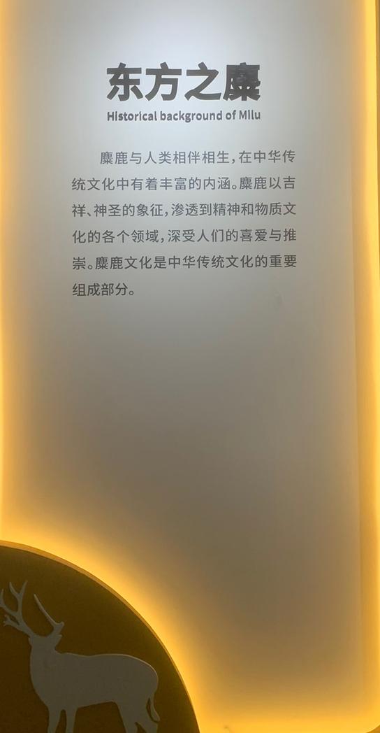 特朗普要对钢铁加征50%的关税，有人觉得，这对包钢股份股票是利好消息，我却认为，