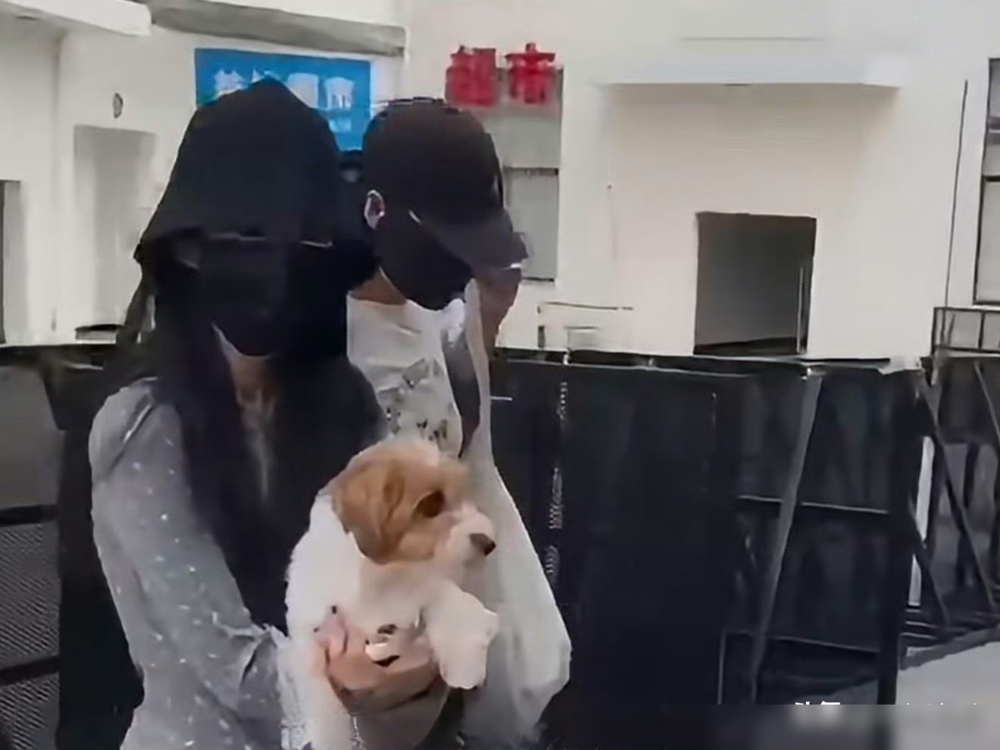 刚被传耍大牌丢了《刺棠》女主，卢昱晓抱着小狗慢悠悠进组了。这剧女主选角撕了足足半年，前阵子剧本围读她