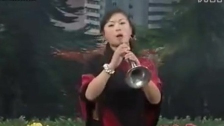 唢呐 说唱脸谱(亳州魏丰收唢呐艺术团)
