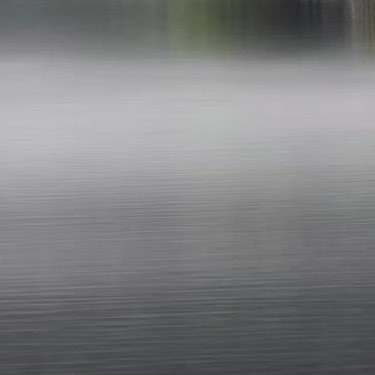 0000种植|微公益苦瓜的种植方法如下：一、选种与催芽：选择饱满、无病虫害