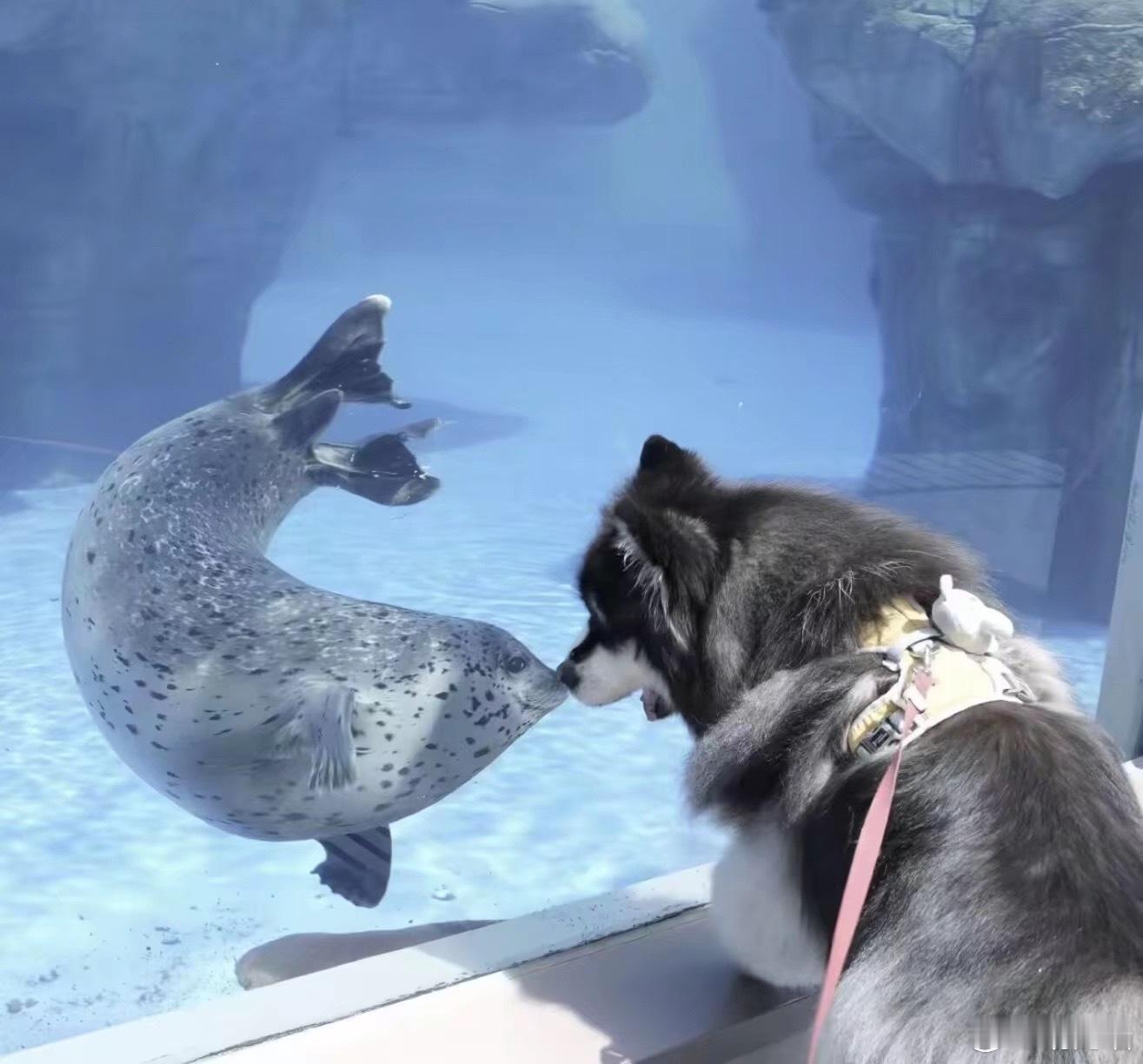 赞美这个世界一分钟