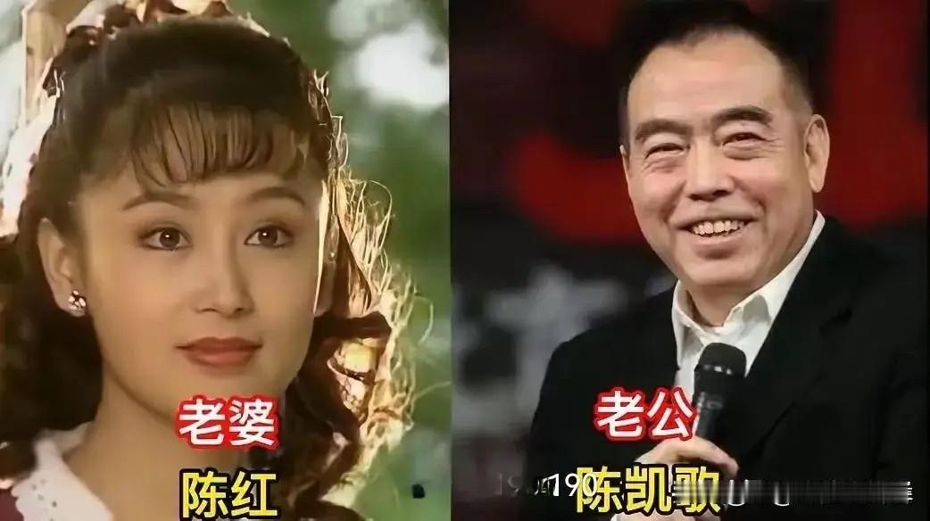 谁能想到荧幕里惊艳几代人的女神，私下都有着安稳长久的感情归宿，林青霞、赵雅芝、李