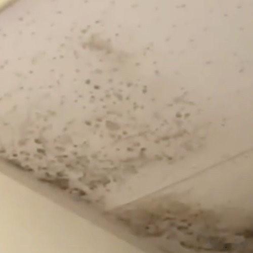 最近一个6岁女童的遭遇让不少家长揪心，6岁女童发烧17天脑子险被吃掉的话题一出来