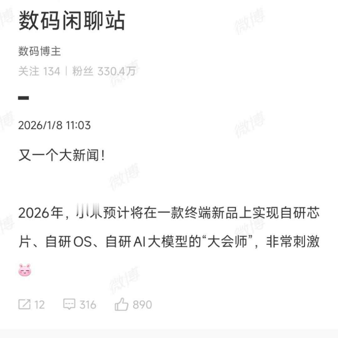 等苹果下场再考虑。