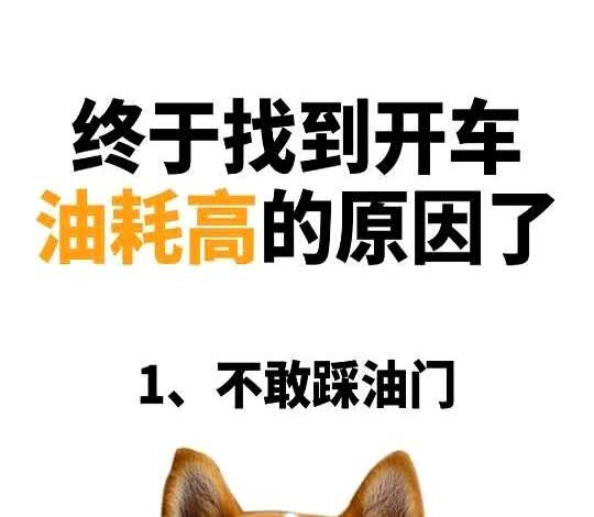 开车油耗高的6大原因！改掉每年省3千你绝对想不到，后备箱里随手塞的矿泉水