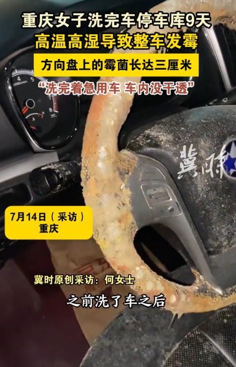 “恶心坏了！”重庆，一女子洗完车后，便将车放在车库9天，可等她准备开车时，竟发现