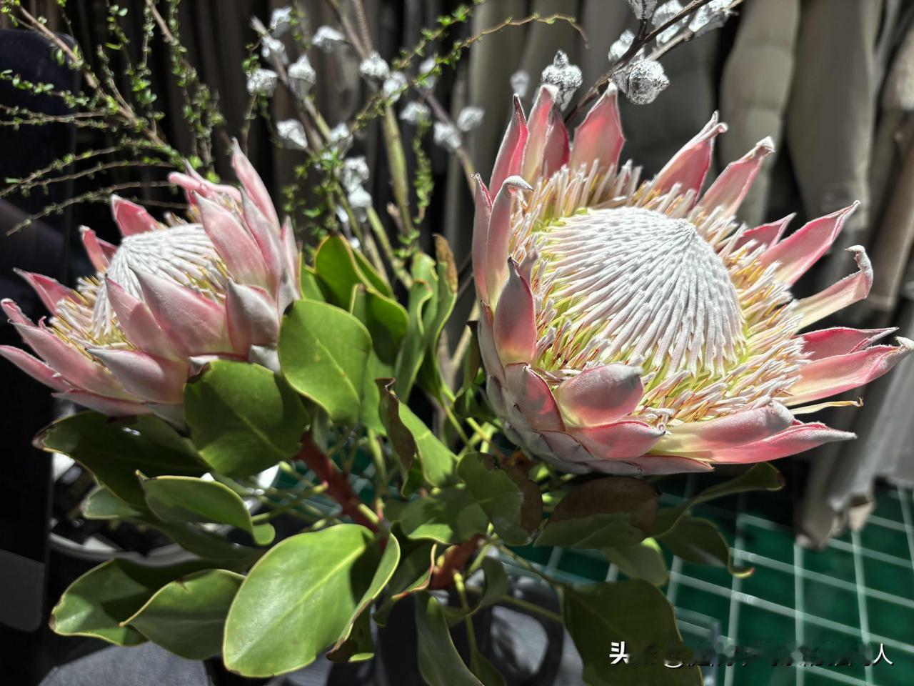 如果再让我选择一次，坚决不生二胎。我35岁，生的老二，男孩，家里最开心的是我