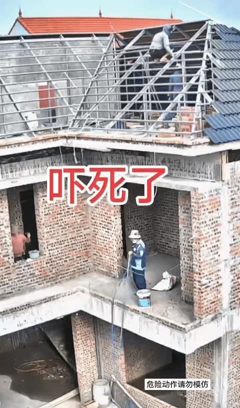 主家真幸运！