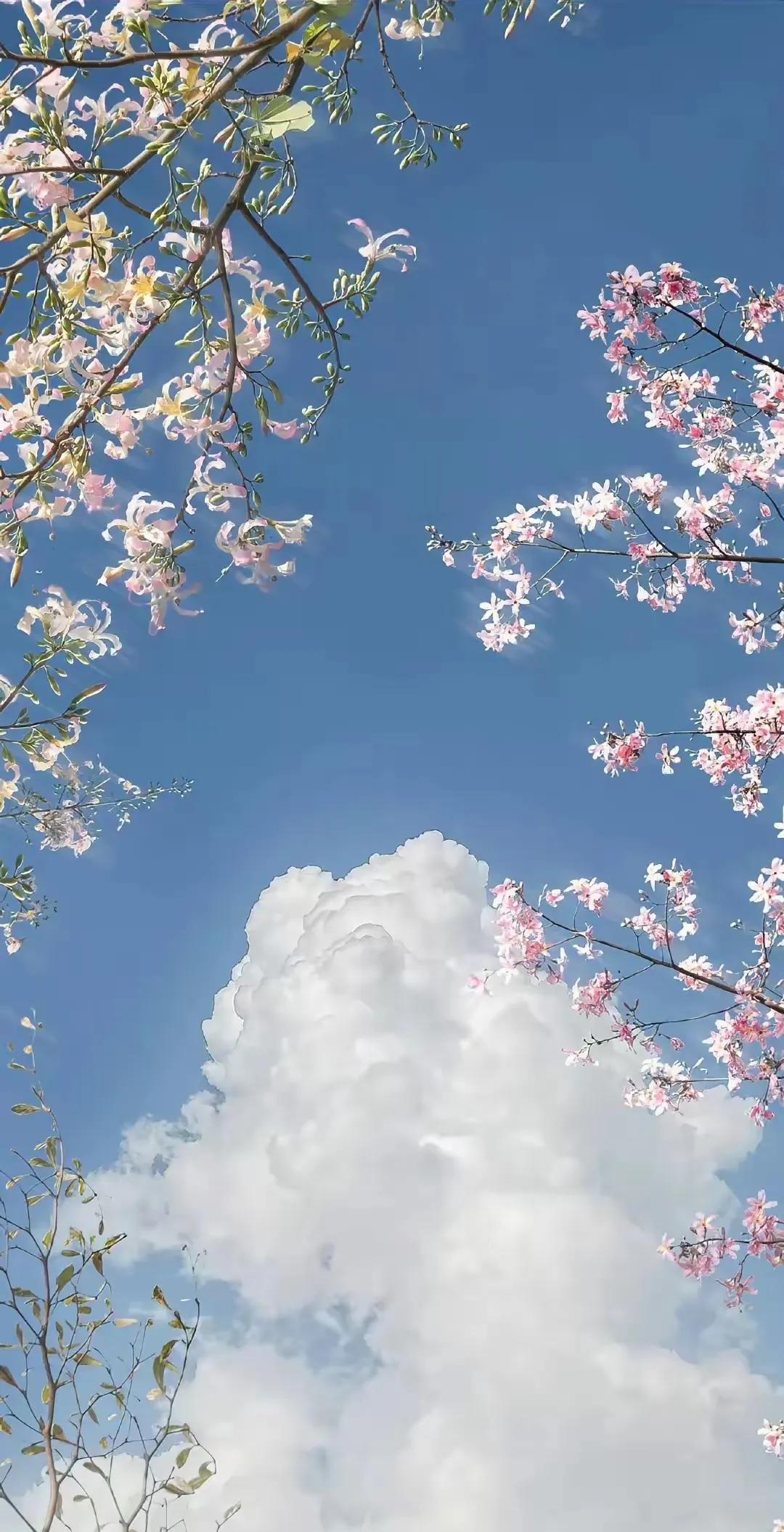 别人劝你的酒一定不能喝。如果有人一直劝你喝酒，本质上就是认为你的地位比他低。不信