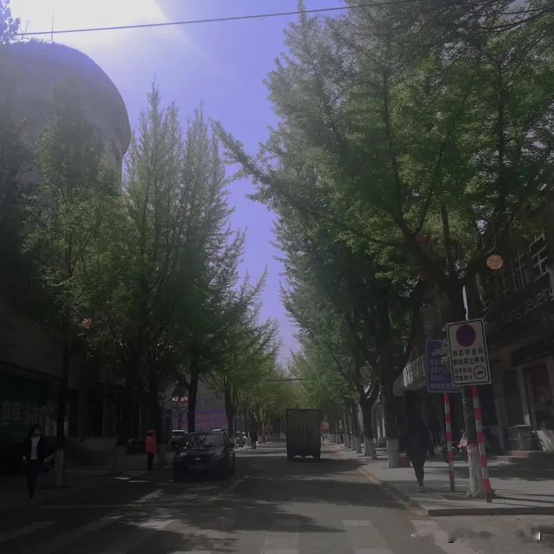 处女座5月下旬运势相当值得期待，这可是破局重生、身份跃迁的关键时期。进入五月，处