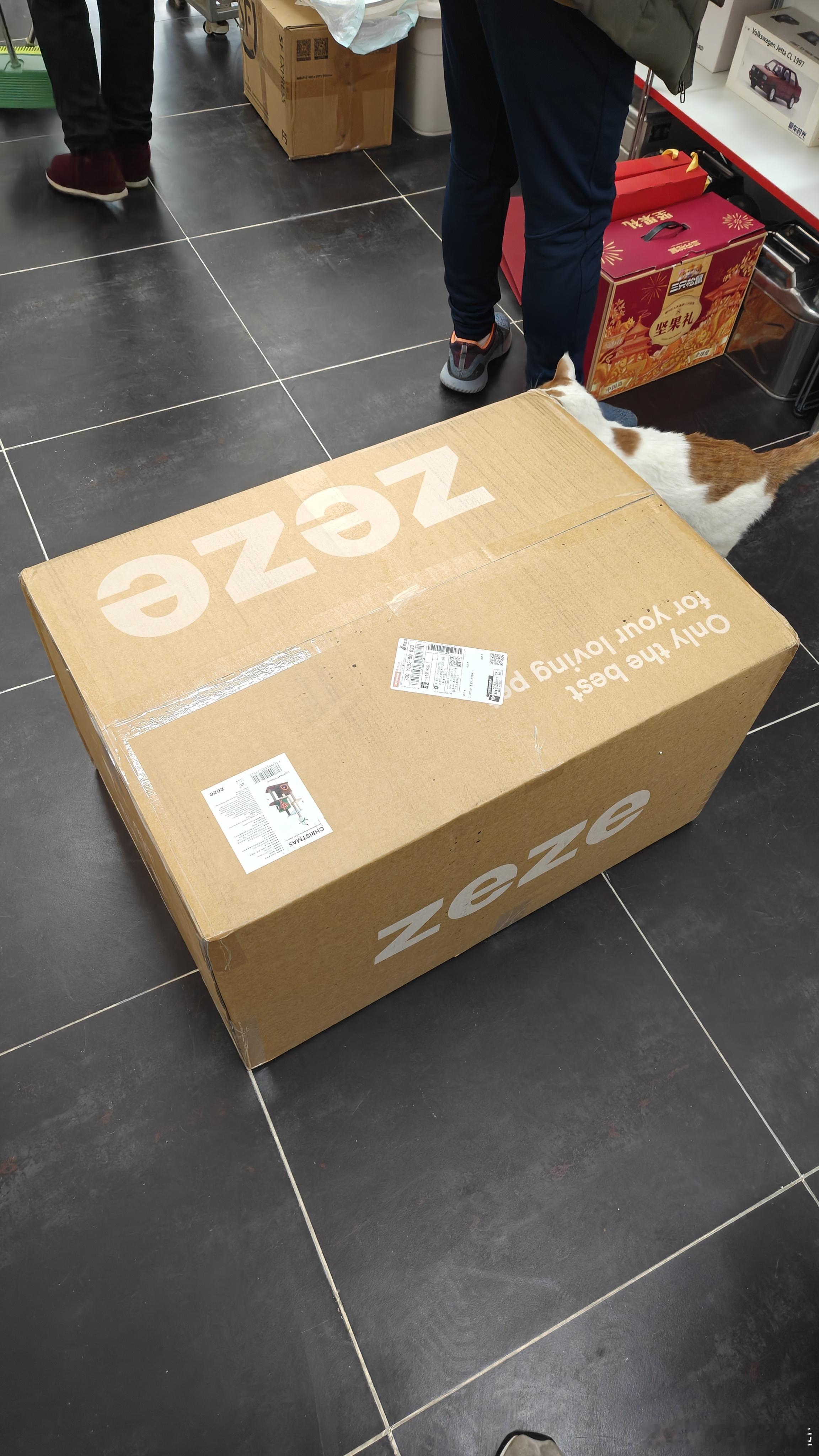 给大哥🐱提前过🎄圣诞节