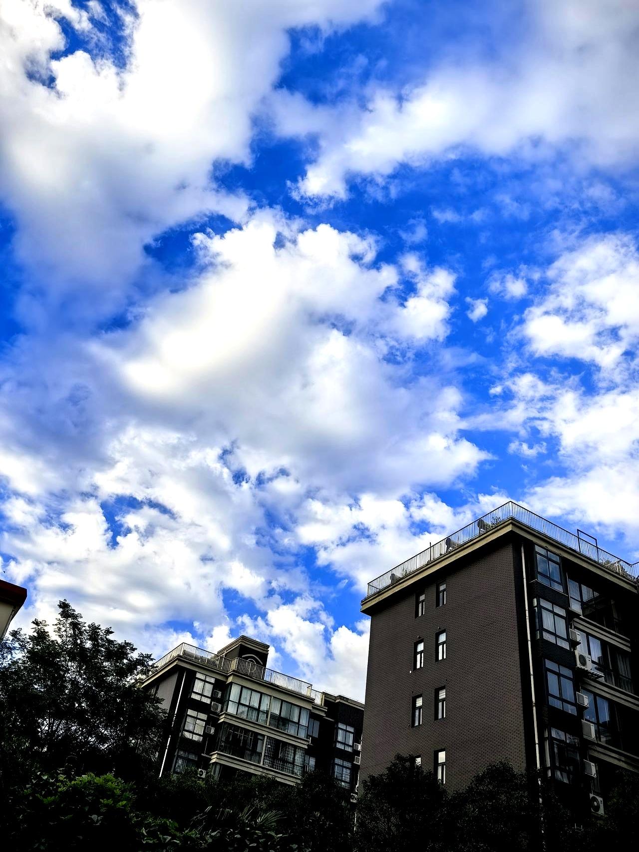 刚接到中介电话，整个人懵了：有人要来看房，最高只出132万，中介一句话敷衍道——