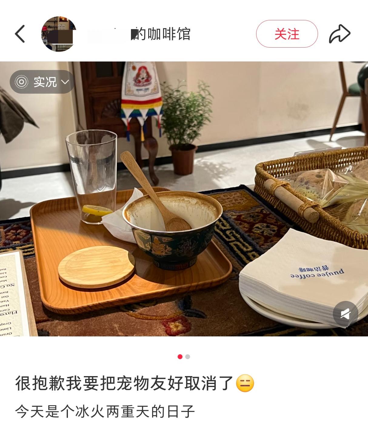 第一批尝鲜宠物友好的老板们已经尝到了第一波苦头……成都一个咖啡馆老板发文表示不再