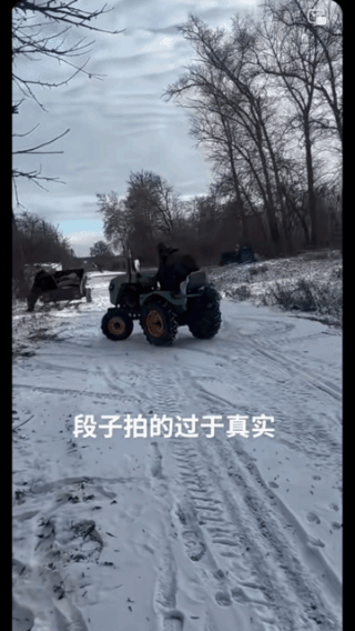 直直的撞上了，路边就一棵树，他就冲着去了！