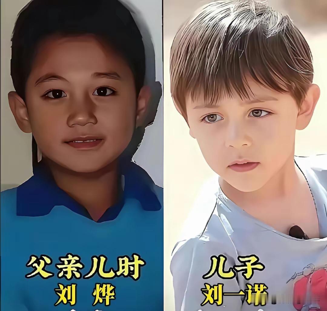 刘烨、杜江、邓超、潘粤明……4位男星的儿子，长得太像爸爸了！基因太强大了！谁是你