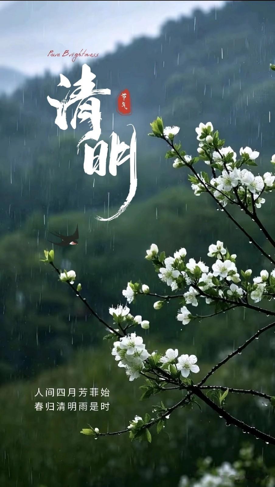 清明上坟别大意：属狗人5不做4必做，守好老规矩平安顺遂一整年2026年清明节临