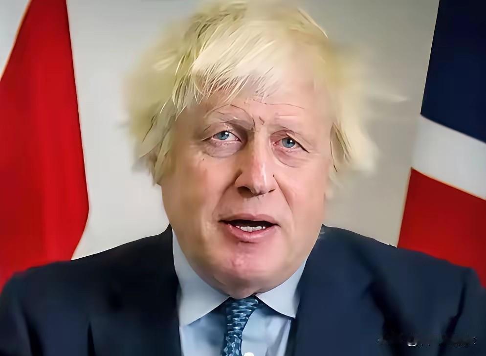 英国前首相鲍里斯·约翰逊在新首相就任的当天（7月20日）在电视节目中表示："我希
