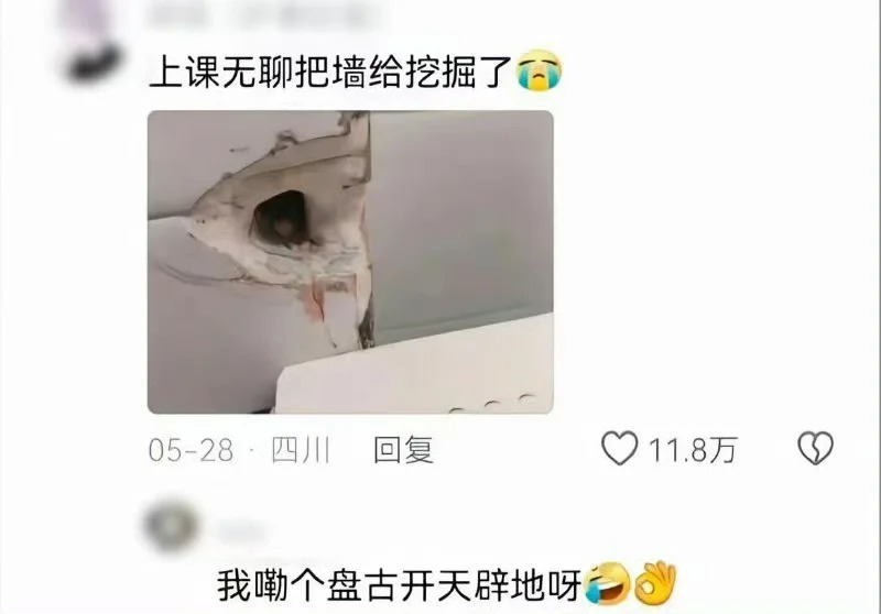 这届大学生的脑回路有点东西...