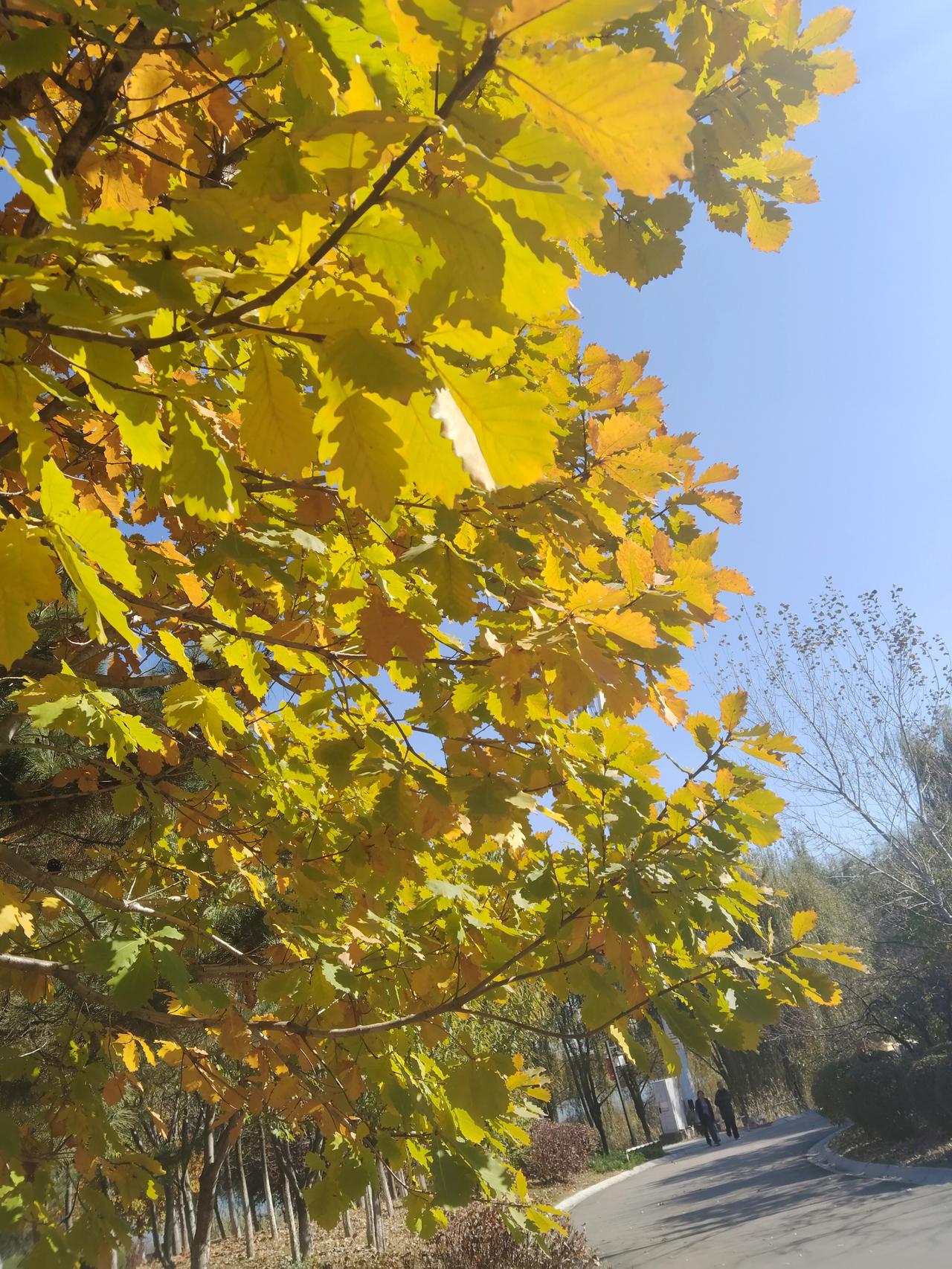 一位老人银行存了75万，后来发他的存款跑到了一个叫梦某某的卡里了，银行回应给他办