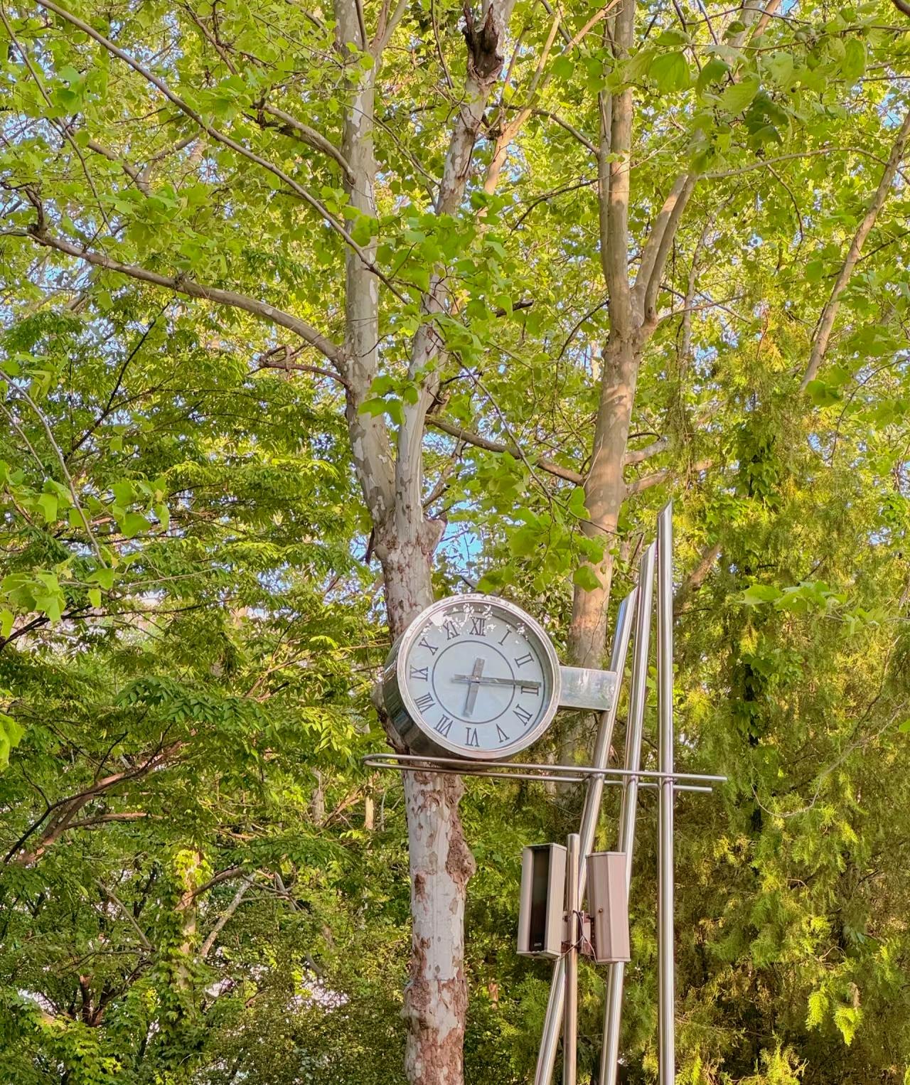 ：）“中国男人唯一的困境就是放不下传宗接代的执念，还有一种很强烈的匮乏感。说白