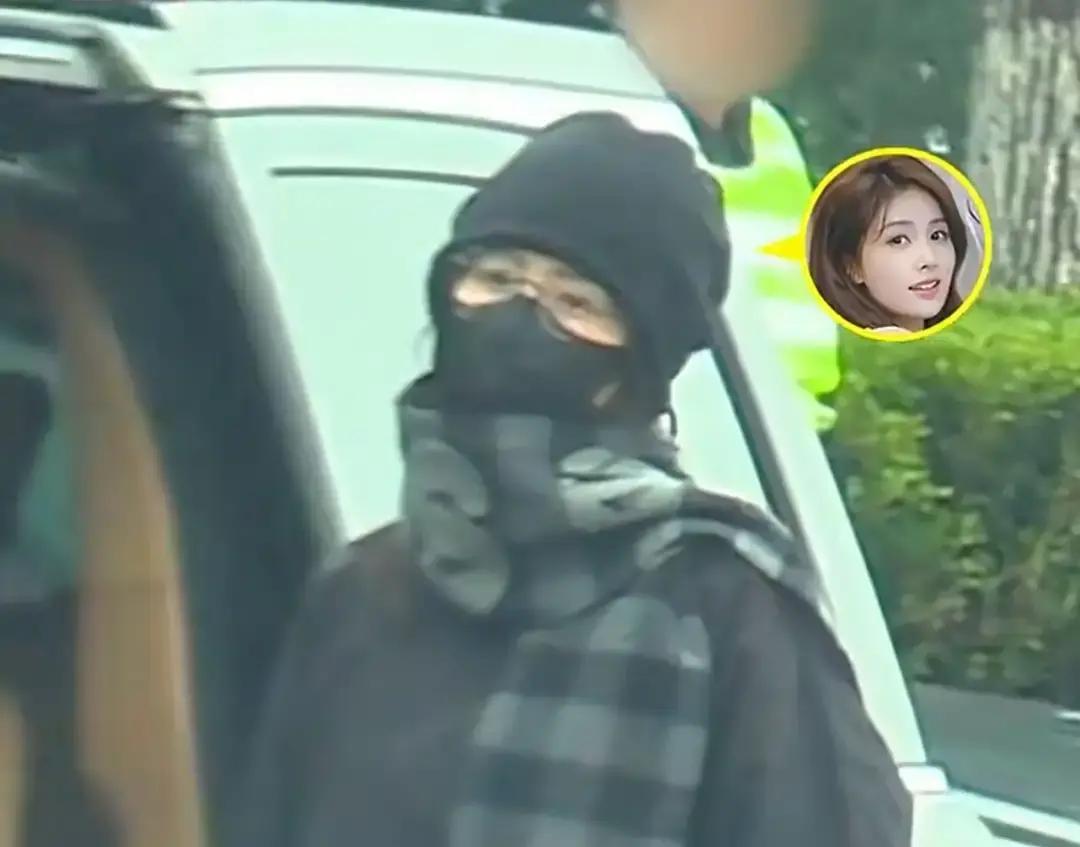 白鹿机场被跟拍，情绪崩溃甩围巾。2月26日上海虹桥，她刚下车就被一堆镜头怼脸