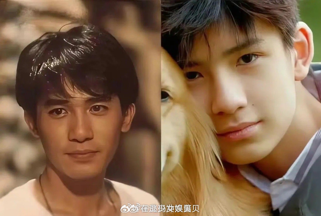 董洁儿子简直是翻版的小梁朝伟！这颜值不进娱乐圈可惜了！