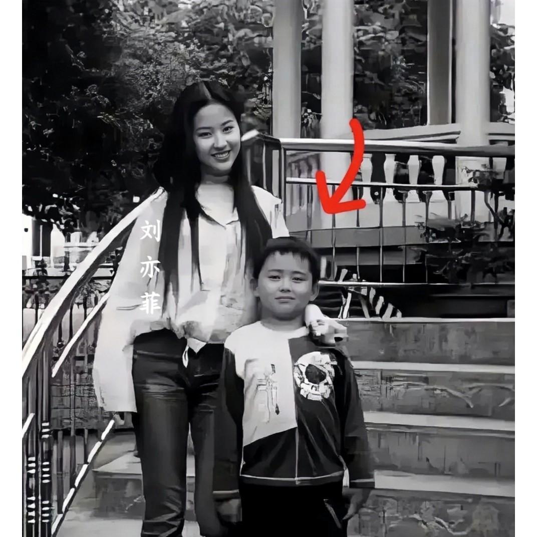 2004年，刘亦菲与一个小男孩在公园台阶上的合影，那时候刘亦菲17岁，长发及腰，