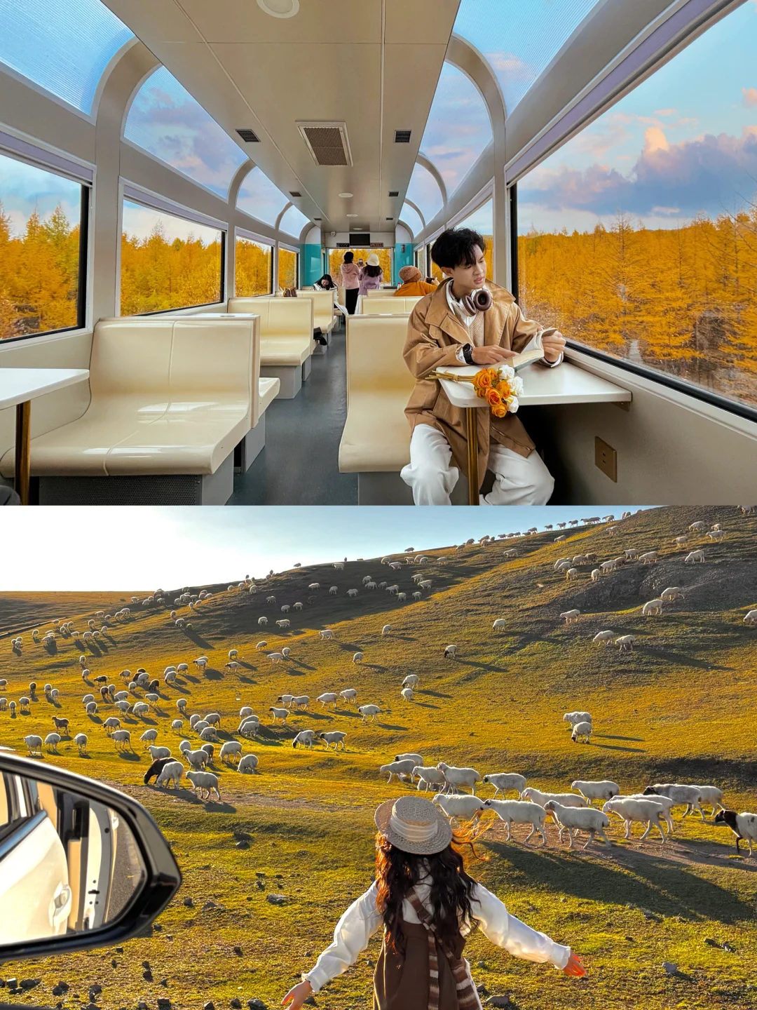 我宣布,这是国内秋天最美的地方❗️