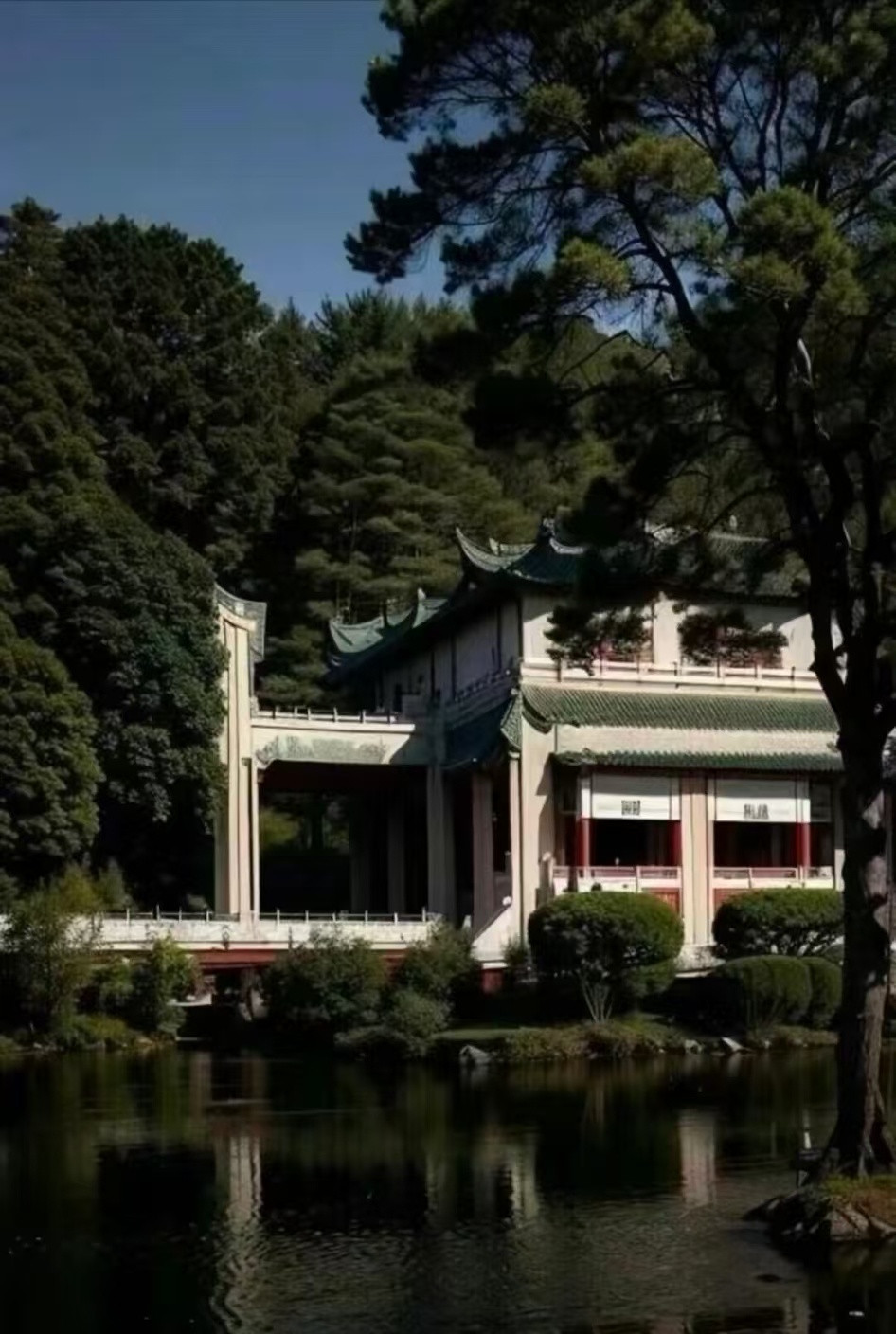 见者好运，今年必上！