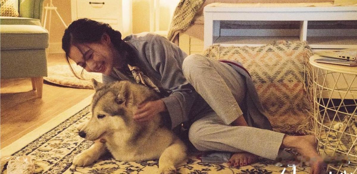 杨颖这是什么电视剧