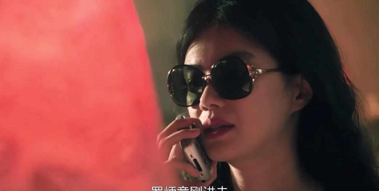 《扫毒风暴》卢少骅让马英子坐龙哥同一趟的航班出发去芬昂国找K哥！目的就是为了盯