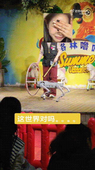 连马戏团都进化到这个阶段了吗迷惑行为大赏​​​