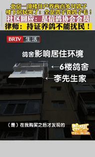 “太缺德了！”2018年，北京一男子花235万元买套房子，结果楼上邻居养了200