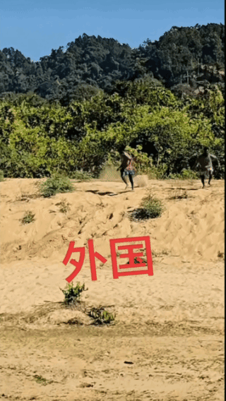 被吓破胆了，竟敢招惹它们？