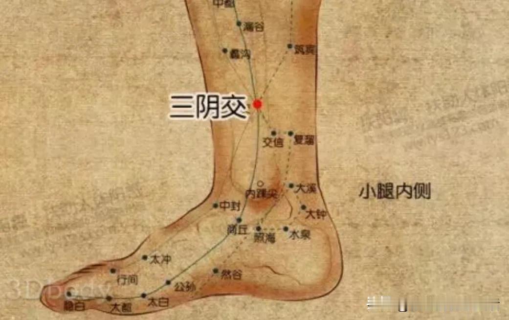 适合上班族的20条经典中医小贴士:1.早上7-9点（胃经当令）一定要吃早餐，这