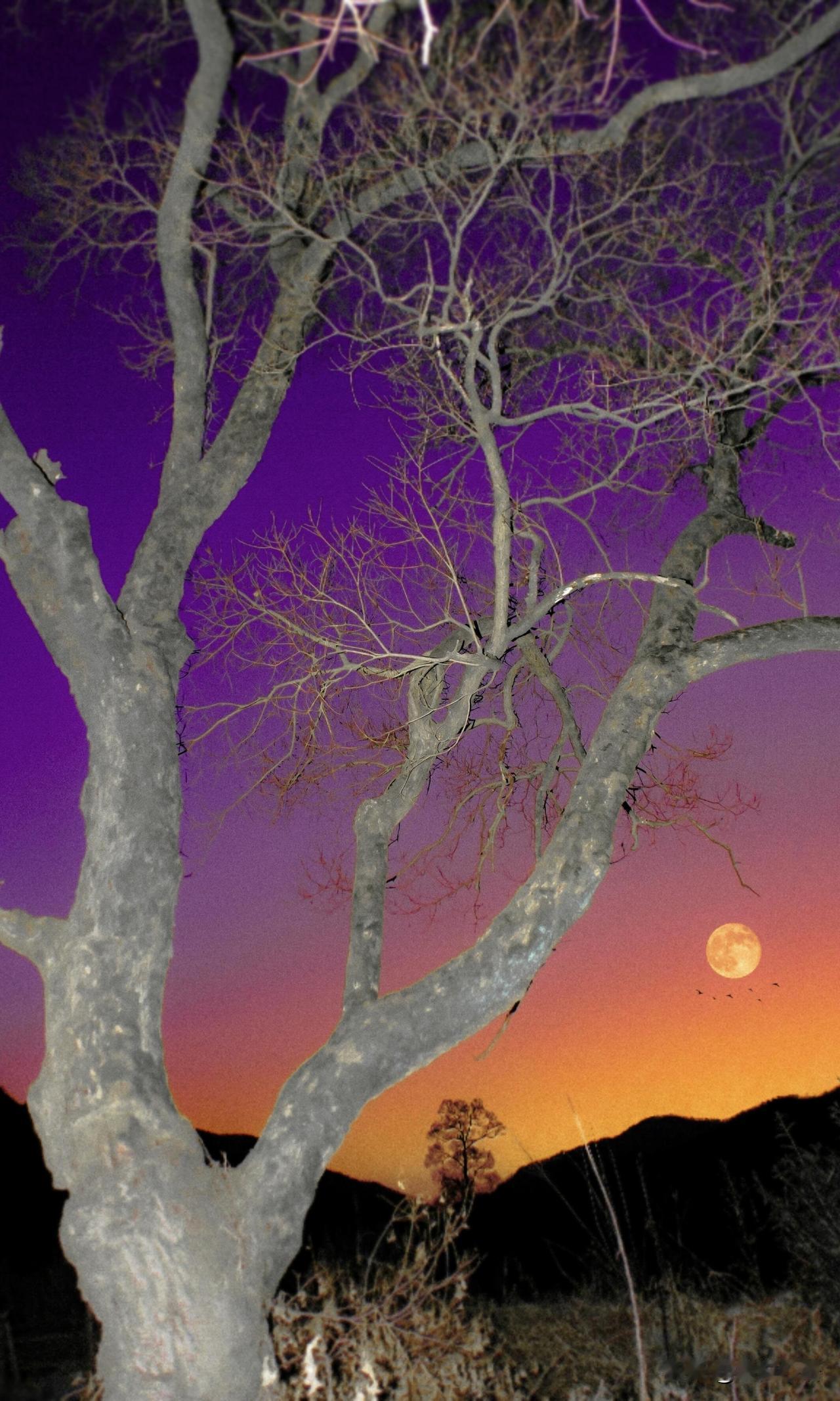 黄昏的橘光，是年度最治愈的风景2025快收尾，最爱的还是黄昏时分。时常想找