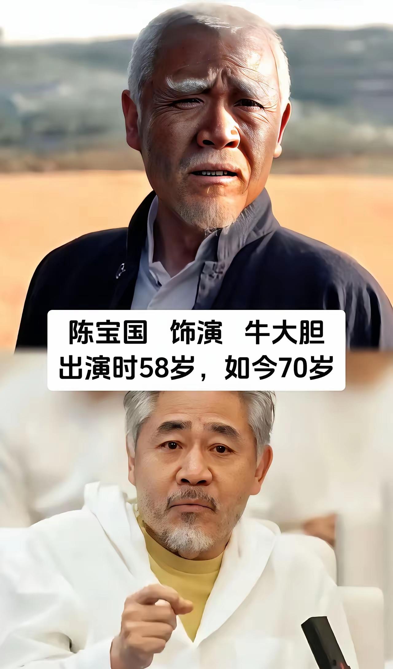 《老农民》这部电视剧演员演技特别好牛大胆与陈宝国：戏里戏外都是拼命三郎陈宝国