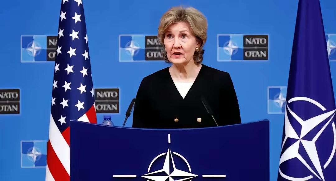 美国驻北约前大使哈奇森公然宣称，比起正面开战，坐等中国经济内生崩溃，才是西方拿捏