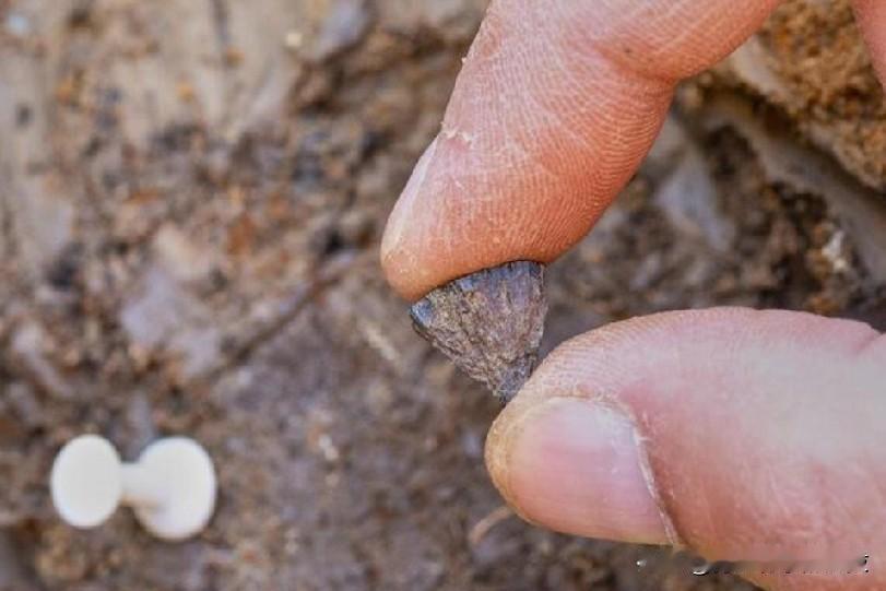 研究发现人类在400,000年前就开始生火，比人们想象的要早得多。英国考古学家