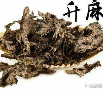 临床中各脏腑的引经药：心经：黄连、细辛。小肠经，高本、黄蘗（柏）。肾经：独活、知