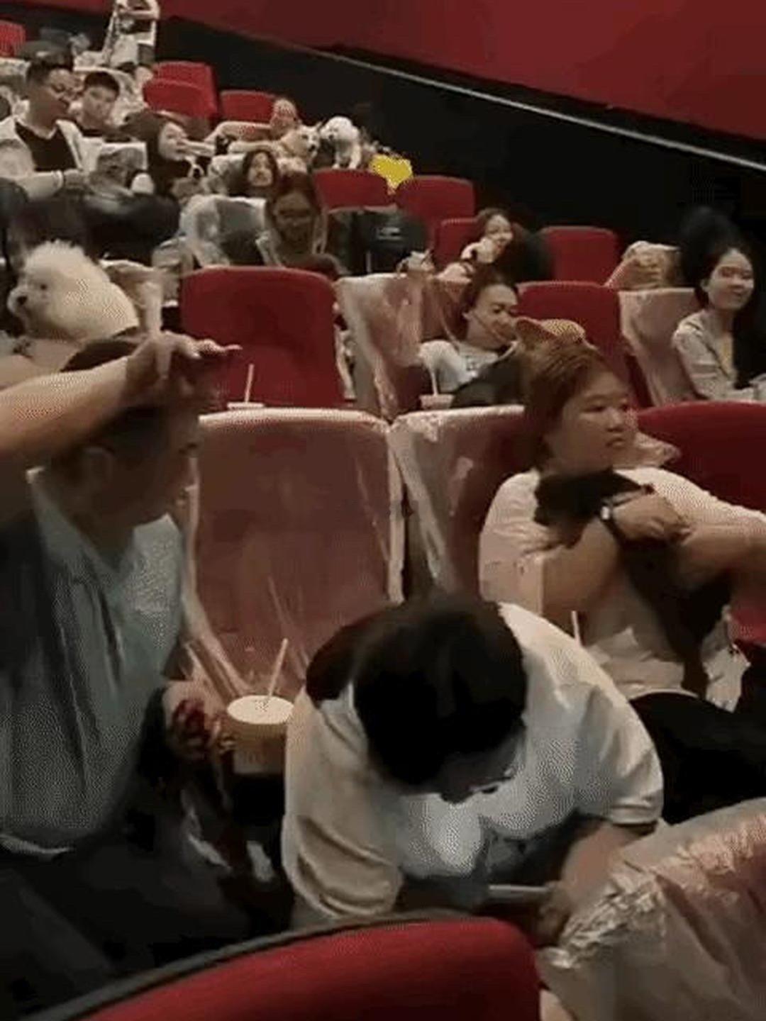 你和我说这是电影院？