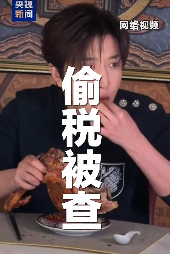 白冰被查这个事情，并不可惜，因为他的情况很明显，就是刻意的去偷税，而且手段层出不