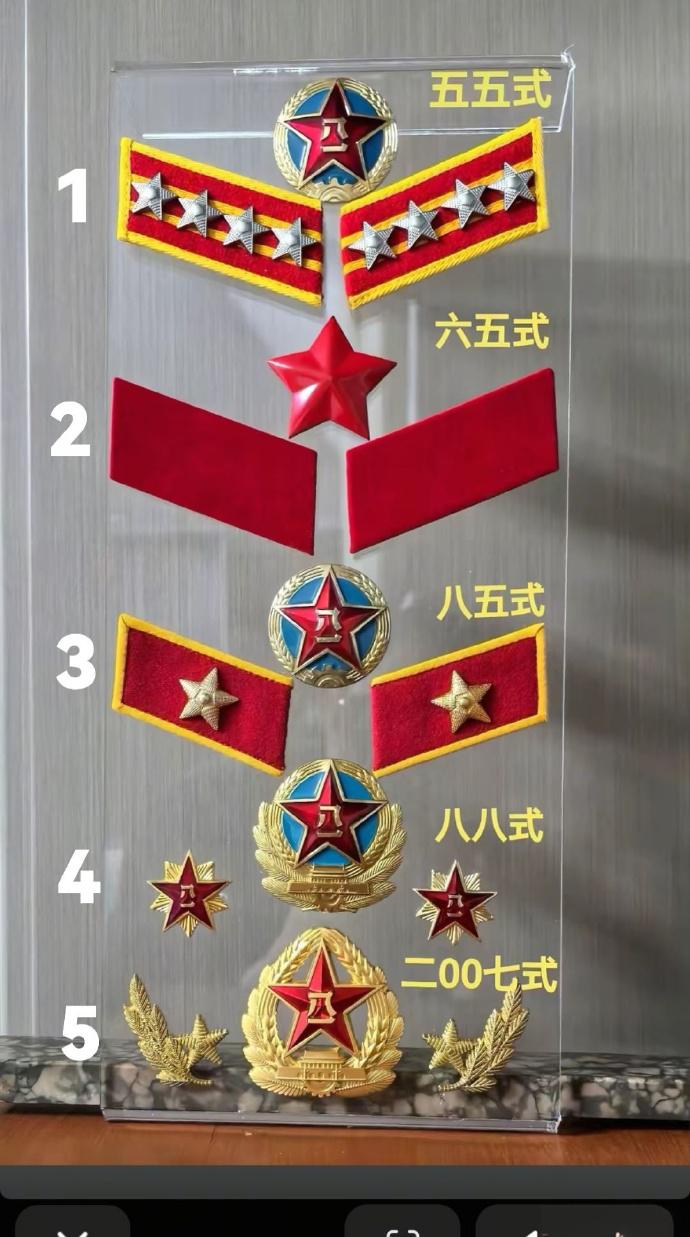五种各式帽徽、领章、领花标识