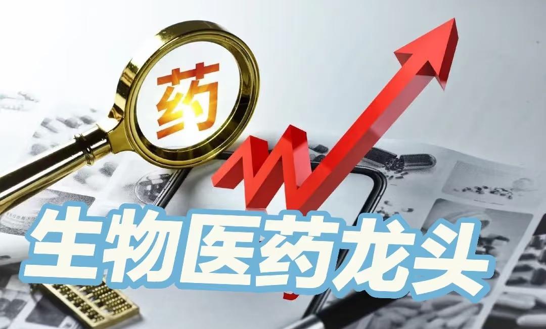 2025年中国生物医药行业龙头企业的系统梳理与总结,按细分赛道分类呈现,便于快速