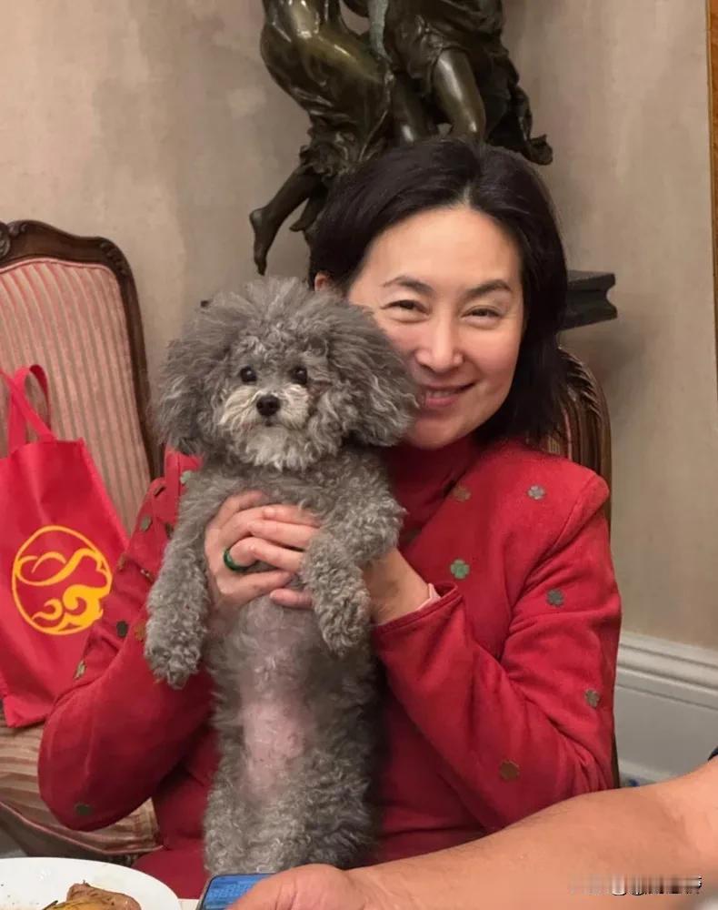 2026年马年大年初二，何超琼一袭深红丝绒外套去曾家拜年，那场面太温馨。在曾家老