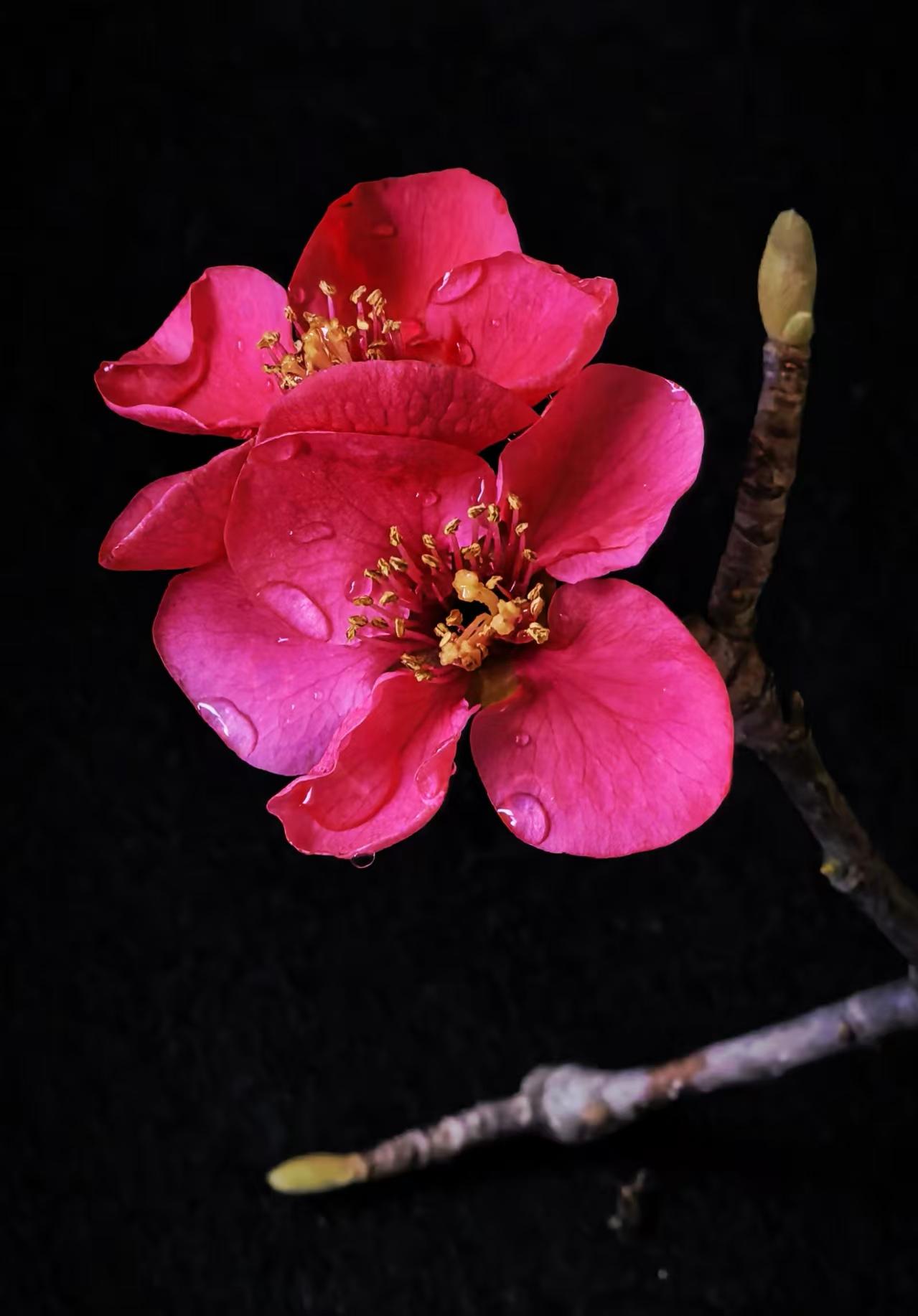 人工智能不怎么样，令人失望。我让它用100个形容词形容我的摄影作品（如下图），它