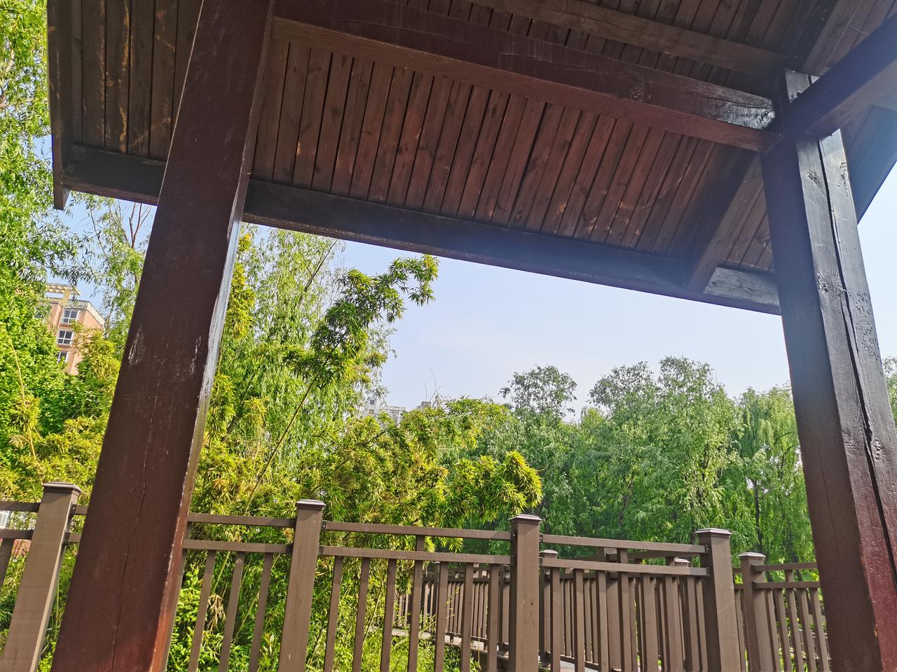 关于出轨，我来说句扎心的大实话出轨这事，说白了就一个字：贪。贪新鲜感，贪